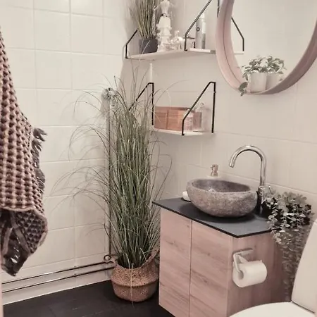 Apartamento Huoneisto Olavinlinnan Laehellae Savonlinna